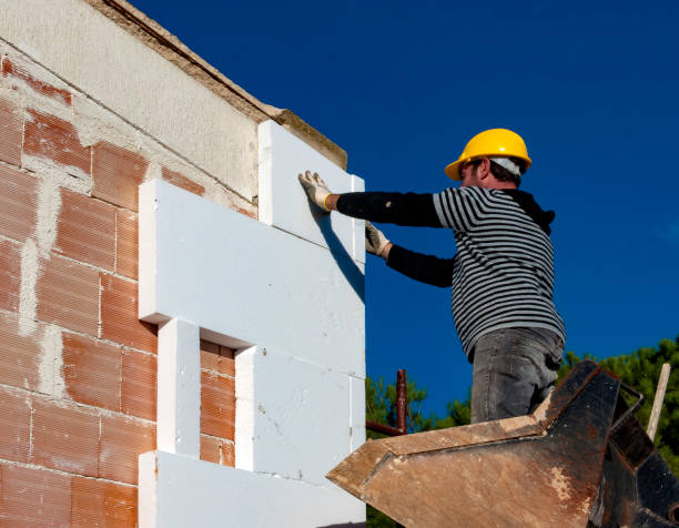 Best Insulation Installation Services in Elsberry, MO